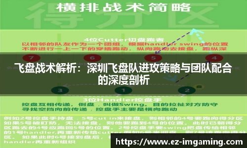飞盘战术解析：深圳飞盘队进攻策略与团队配合的深度剖析